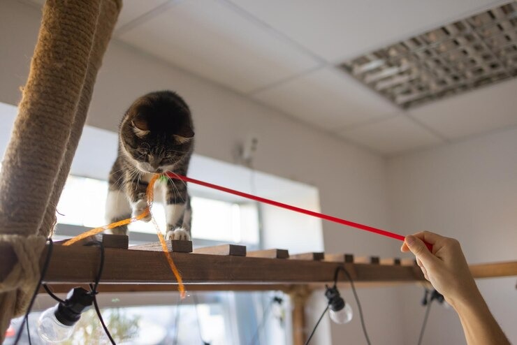 Simple Ways to Live More Sustainably