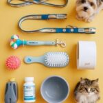 The Best Accessories to Elevate Any Outfit