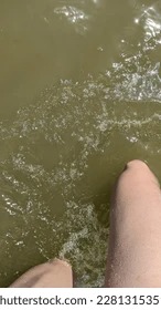 How to Grow Herbs Indoors Year-Round