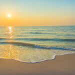 The Evolution of Streetwear Culture