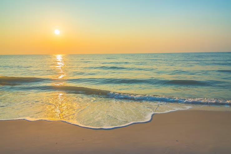 The Evolution of Streetwear Culture