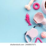 Capsule Wardrobe Essentials for 2025