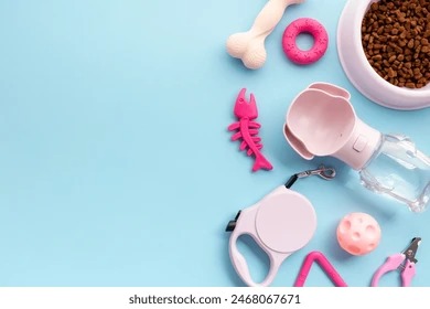 Capsule Wardrobe Essentials for 2025