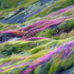 Exploring Global Street Food Culture