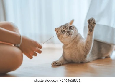 How to Create a Butterfly-Friendly Garden