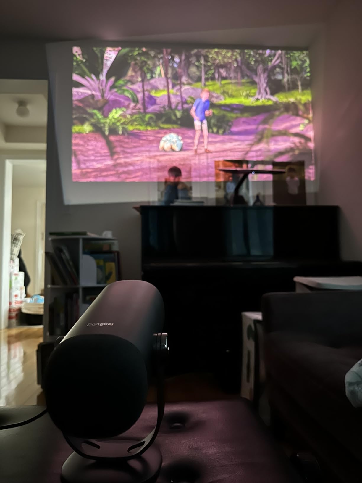 Dangbei Freedo: Big Screen Entertainment Anywhere