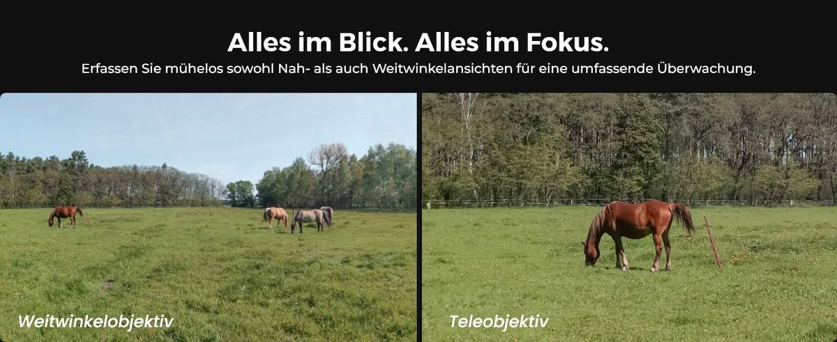 Reolink TrackMix LTE-8MP-C+SP-C: Smarte Überwachung per LTE