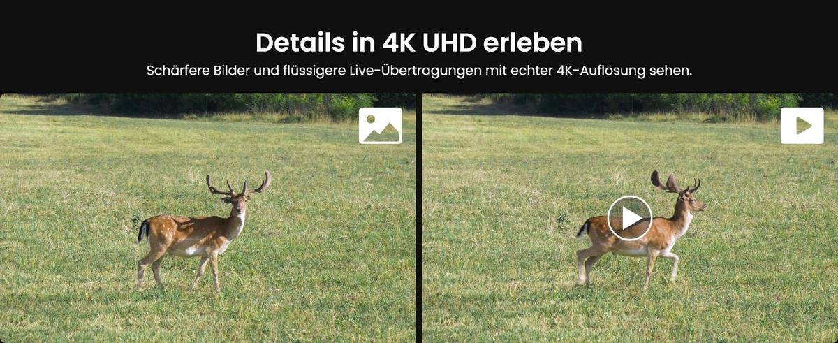 Reolink TrackMix LTE-8MP-C+SP-C: Smarte Überwachung per LTE