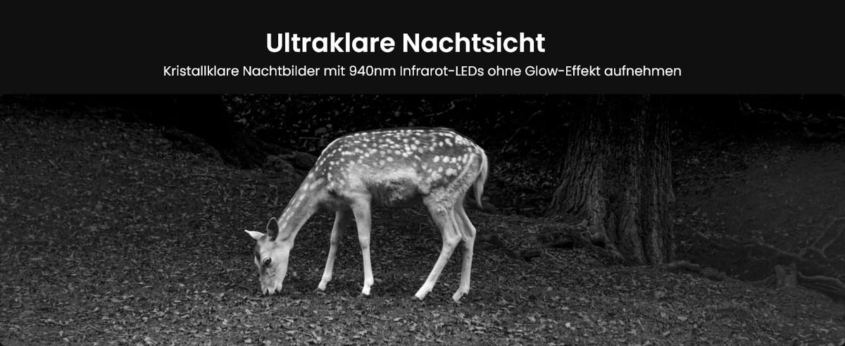 Reolink TrackMix LTE-8MP-C+SP-C: Smarte Überwachung per LTE