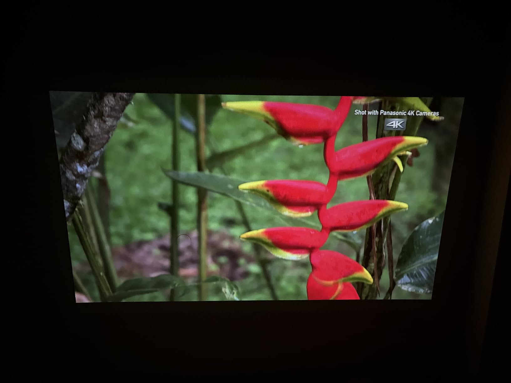 Aurzen ZIP Tri-Fold Mini Projector: Pocket Cinema Power