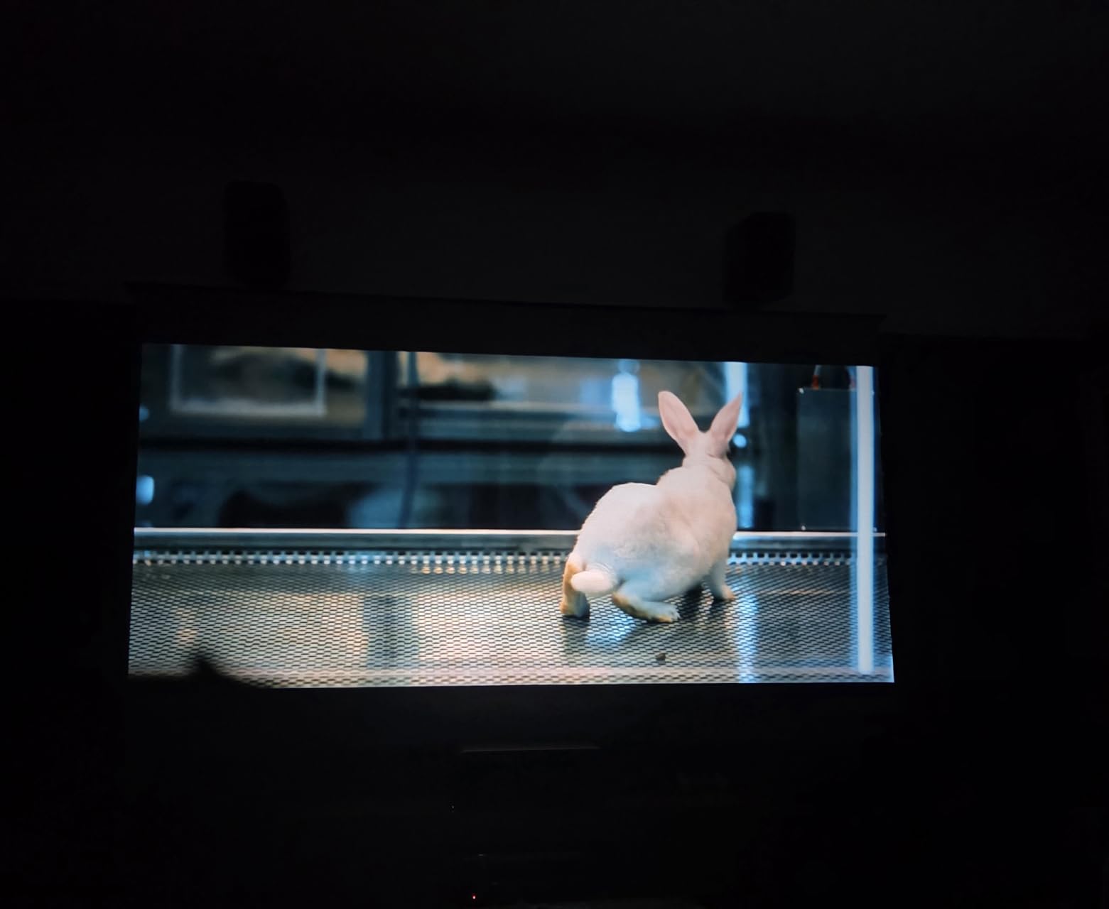 TCL Projector C1: Transform Your Home Cinema Experience