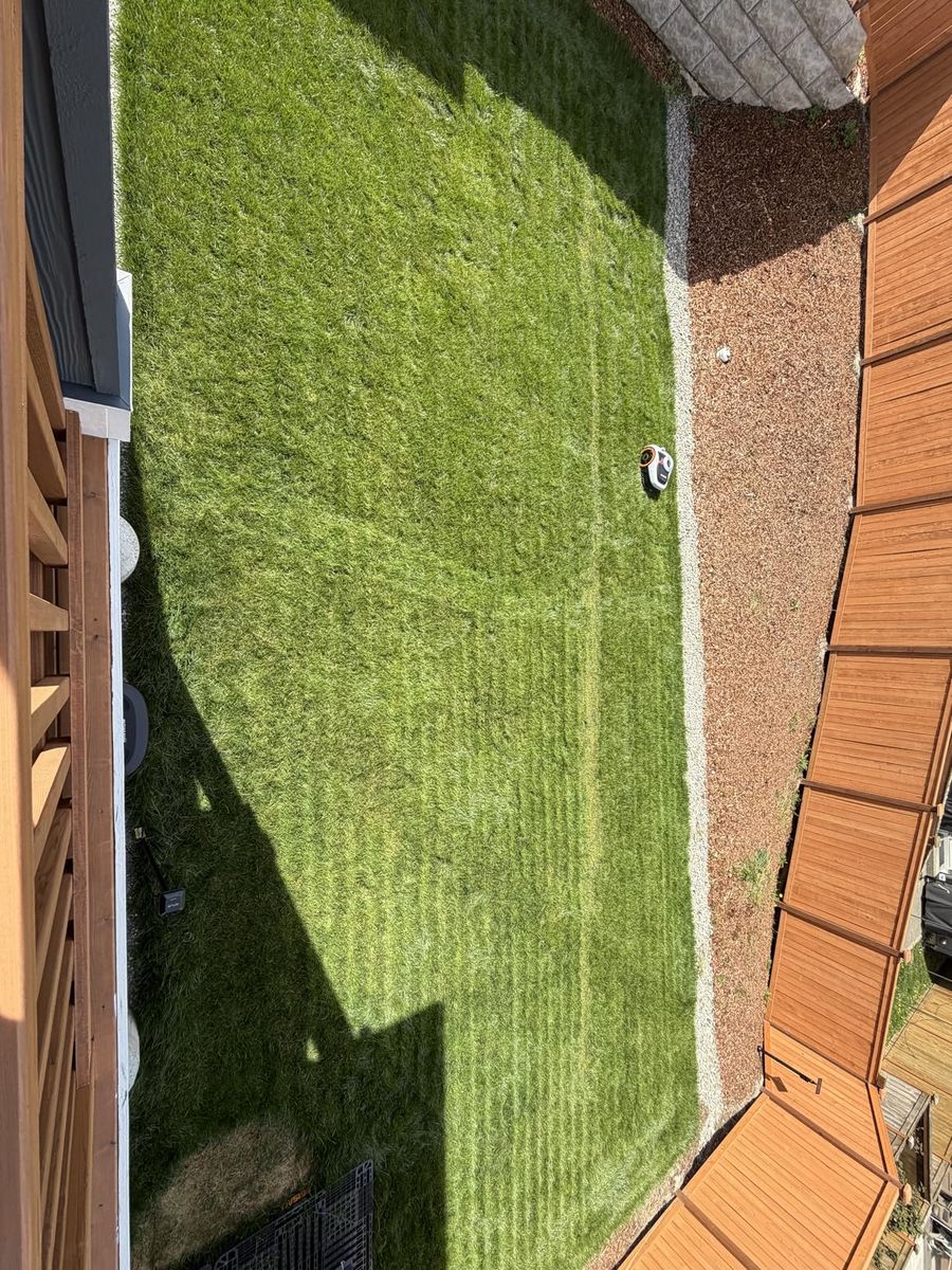 Navimow i206 AWD+Garage: The Ultimate Smart Lawn Solution