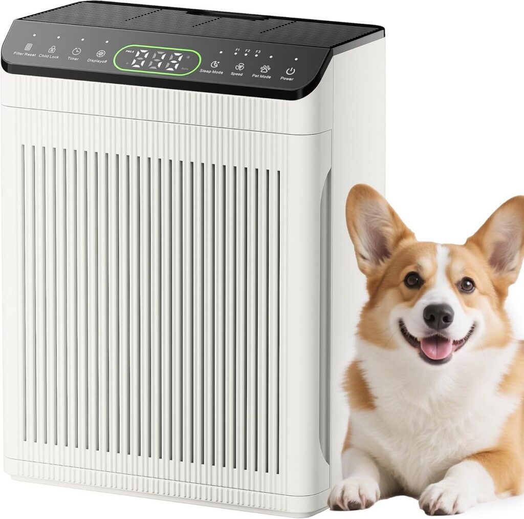 Morento.ca EVALIT Air Purifiers for Home: Pure & Fresh