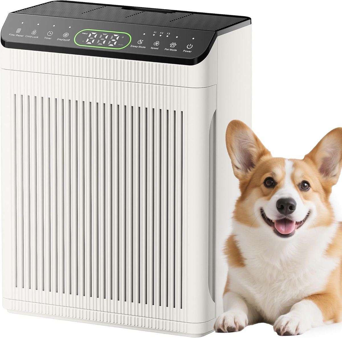 Morento.ca EVALIT Air Purifiers for Home: Pure & Fresh
