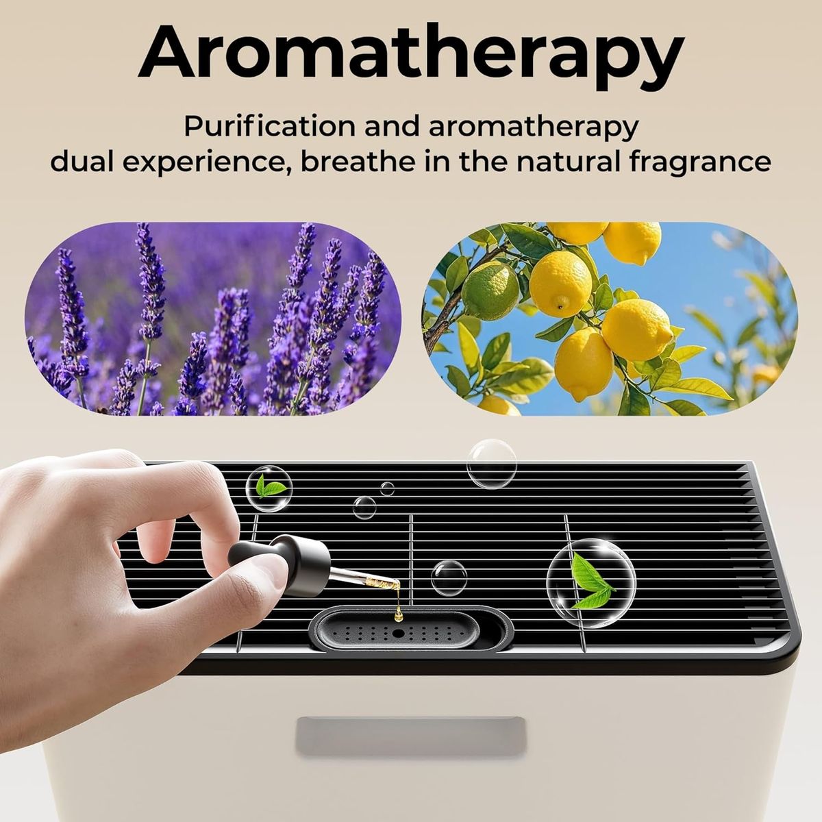 Morento.ca EVALIT Air Purifiers for Home: Pure & Fresh