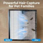 Morento EVALIT Air Purifiers: Smart Clean Air for Your Home