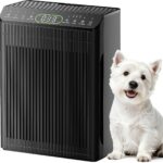 Morento EVALIT Air Purifier: Clean Air, Healthy Home