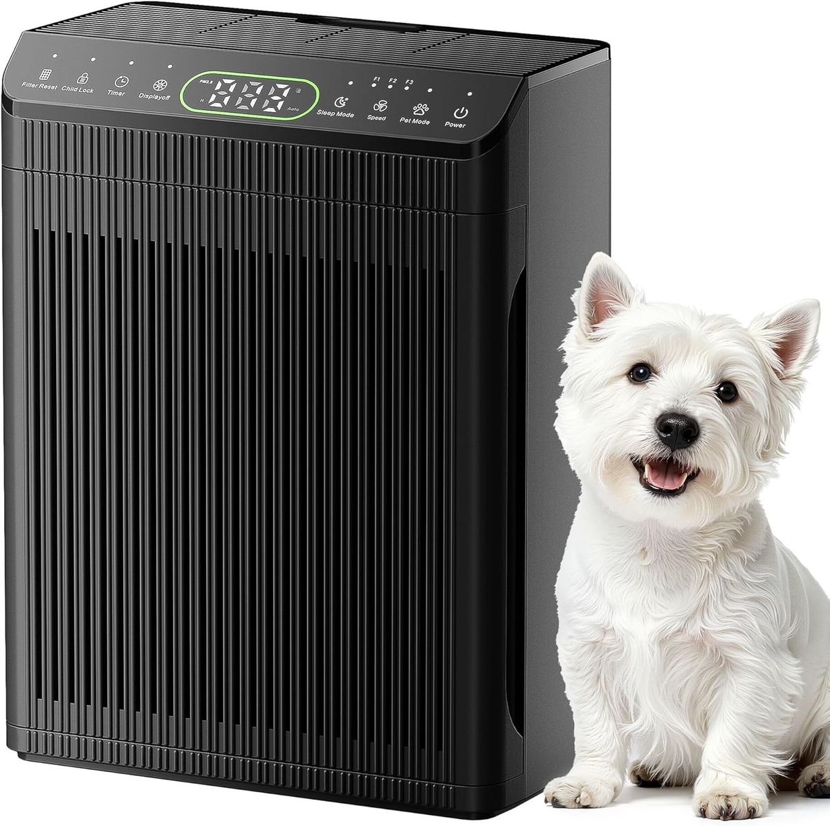 Morento EVALIT Air Purifier: Clean Air, Healthy Home