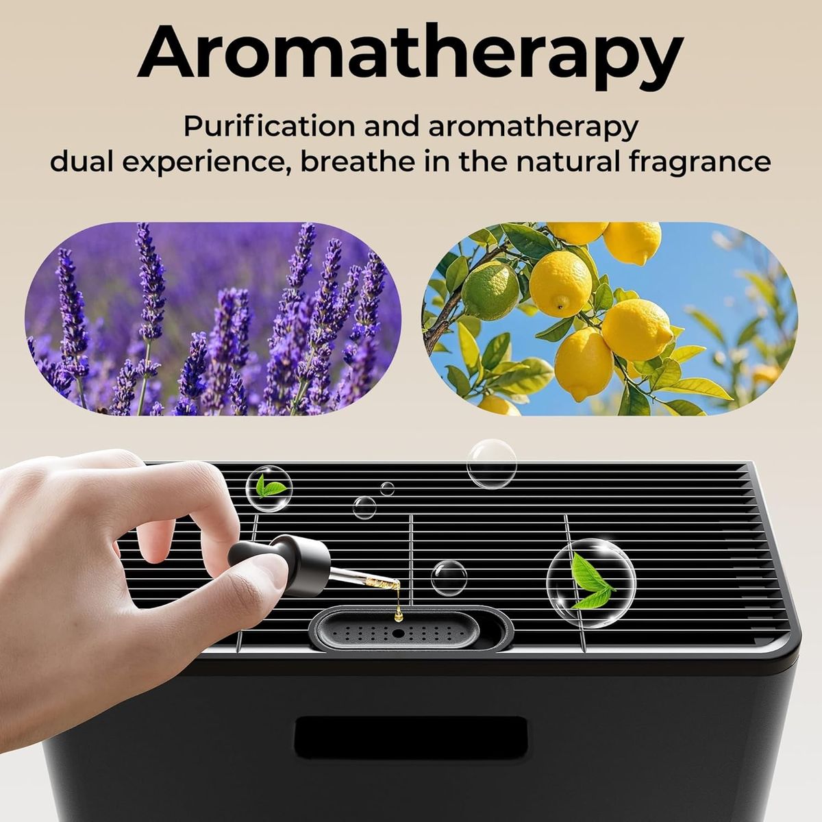 Morento EVALIT Air Purifier: Clean Air, Healthy Home