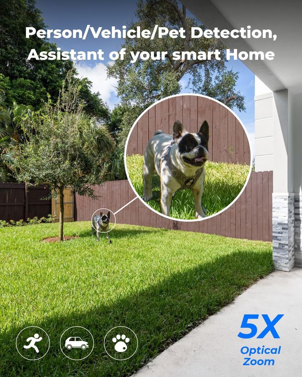 Reolink RLC-811A: 4K PoE Guard for My New Puppy