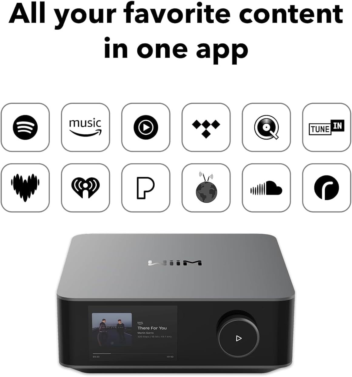 WiiM Amp Ultra Space Gray: Premium Sound, Minimal Design