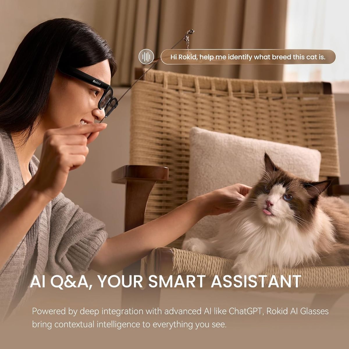 Rokid Ai Glasses Style: See the Future Clearly