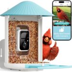 Birdfy NETVUE – Smart Bird Feeder with AI Camera & Live Stream