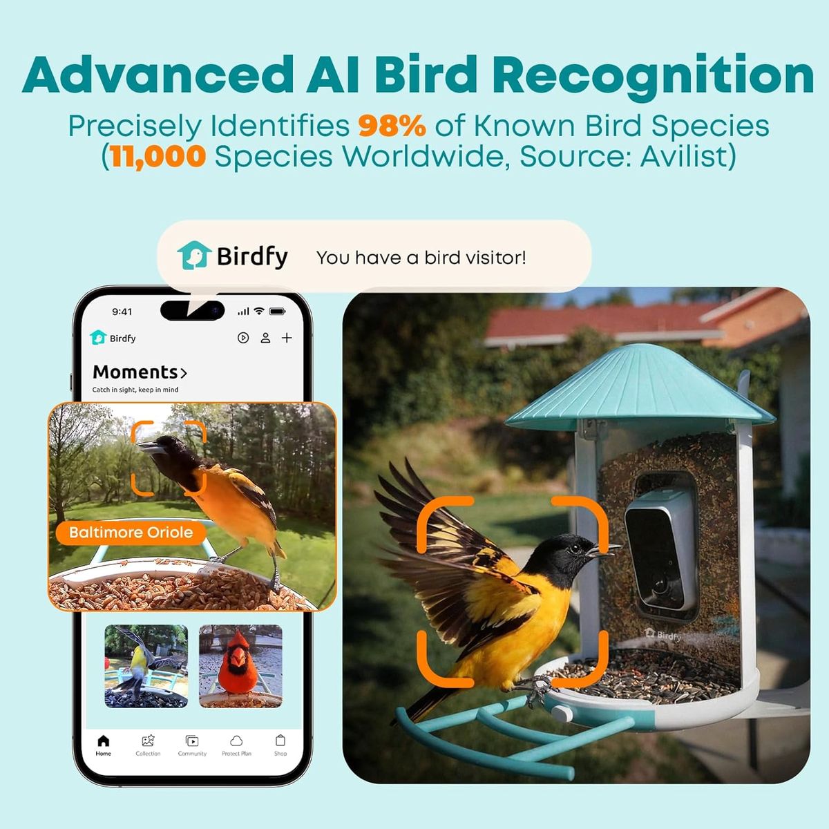 Birdfy NETVUE – Smart Bird Feeder with AI Camera & Live Stream