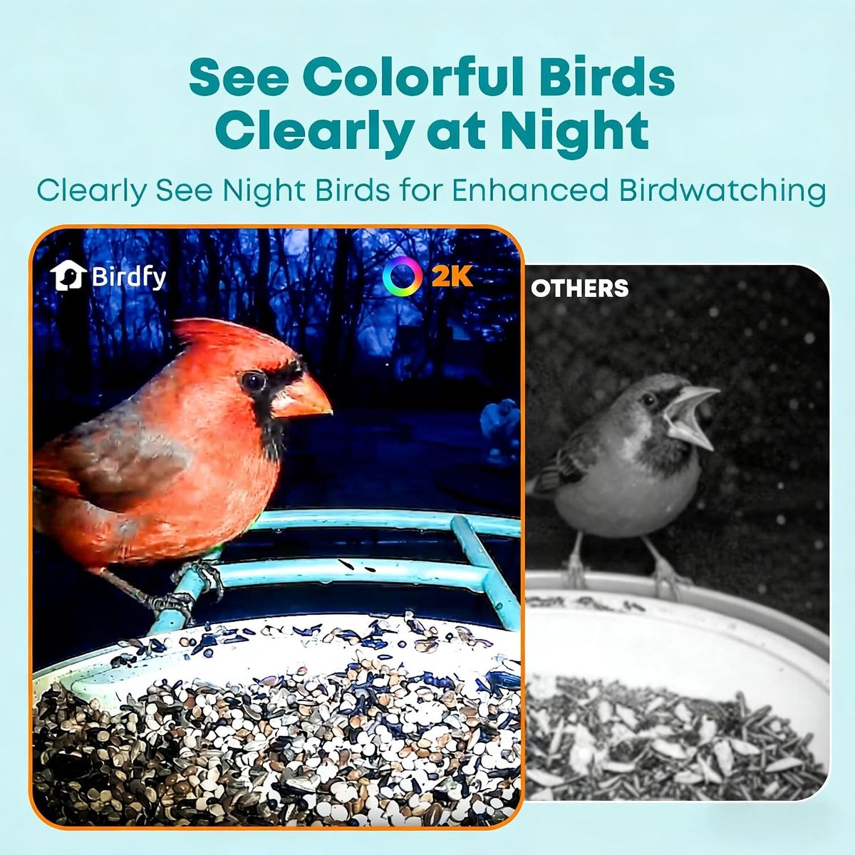 Birdfy NETVUE – Smart Bird Feeder with AI Camera & Live Stream