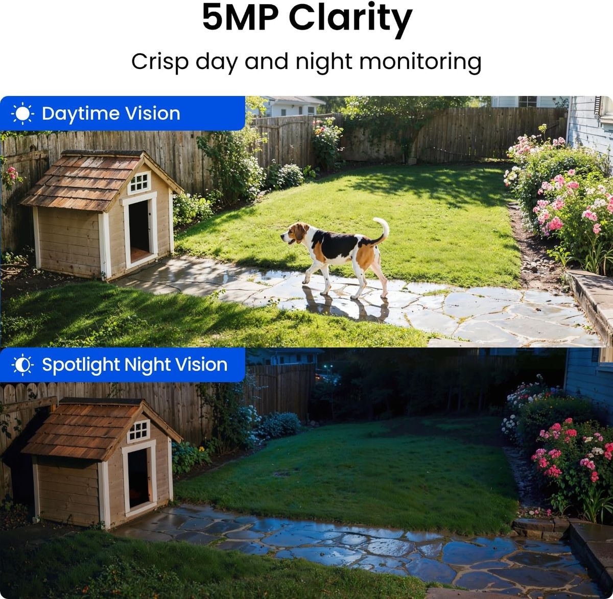 Reolink 5MP Solar Security Cameras: Smart, Wireless, & Reliable