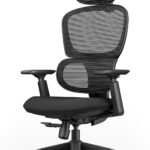 ProtoArc EC300: The Ergonomic Office Chair That Adapts to You