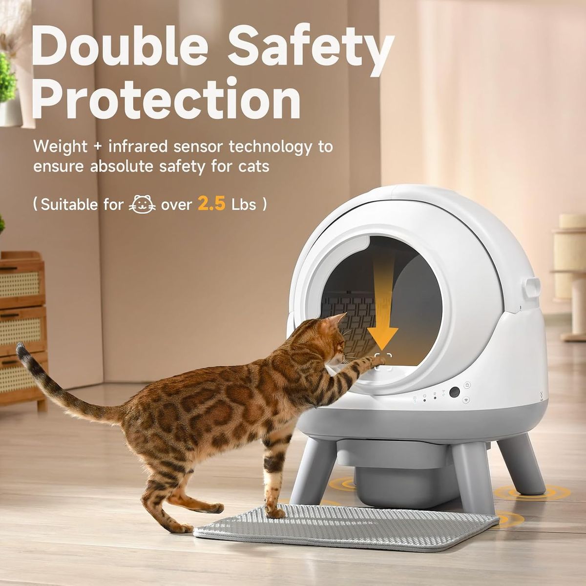 Coziley G1 Self Cleaning Litter Box: A Multi-Cat Upgrade