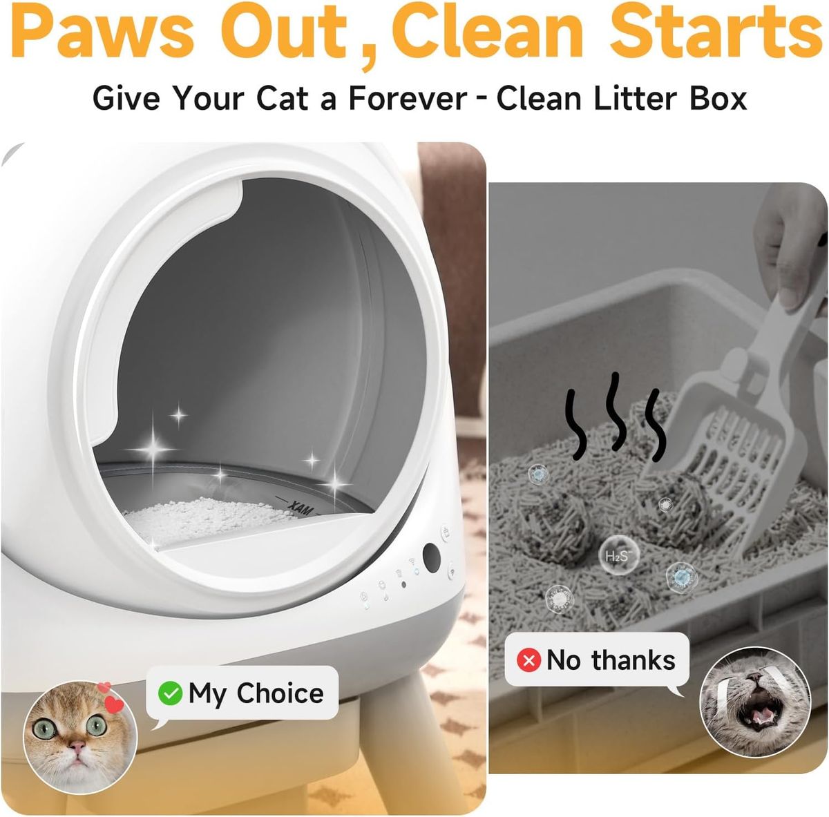 Coziley G1 Self Cleaning Litter Box: A Multi-Cat Upgrade